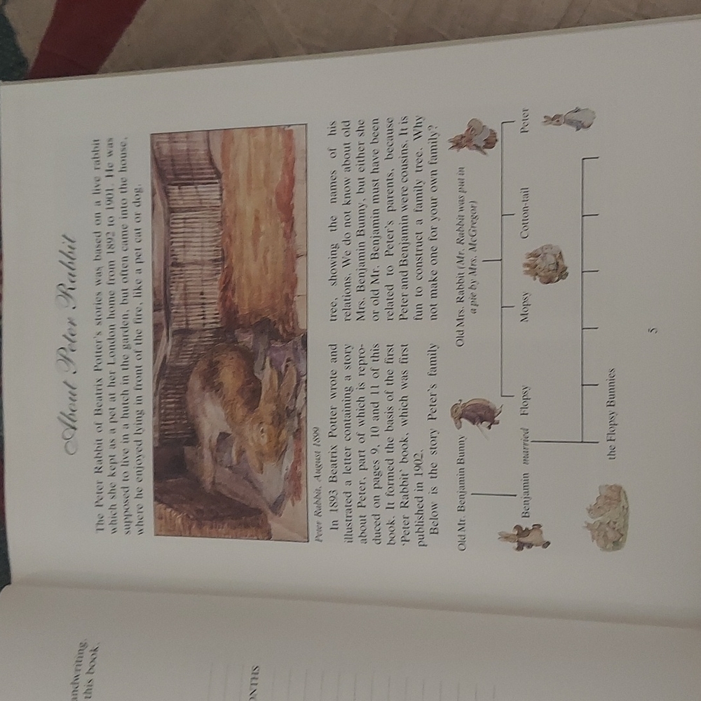 The Big Peter Rabbit Book - Picture 9 of 16